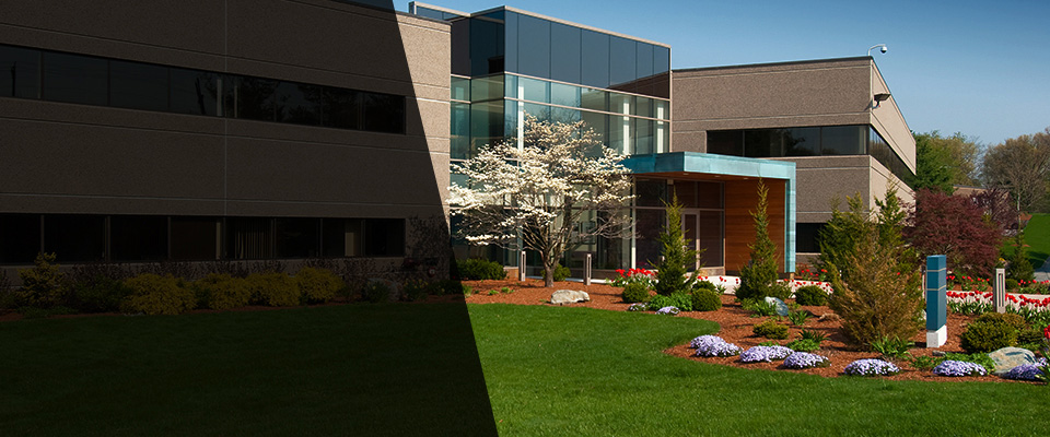 Redwood City Landscapers