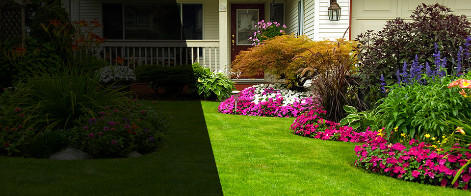 Redwood City Landscapers
