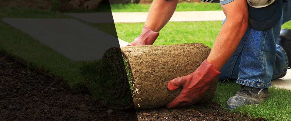 Redwood City Landscapers